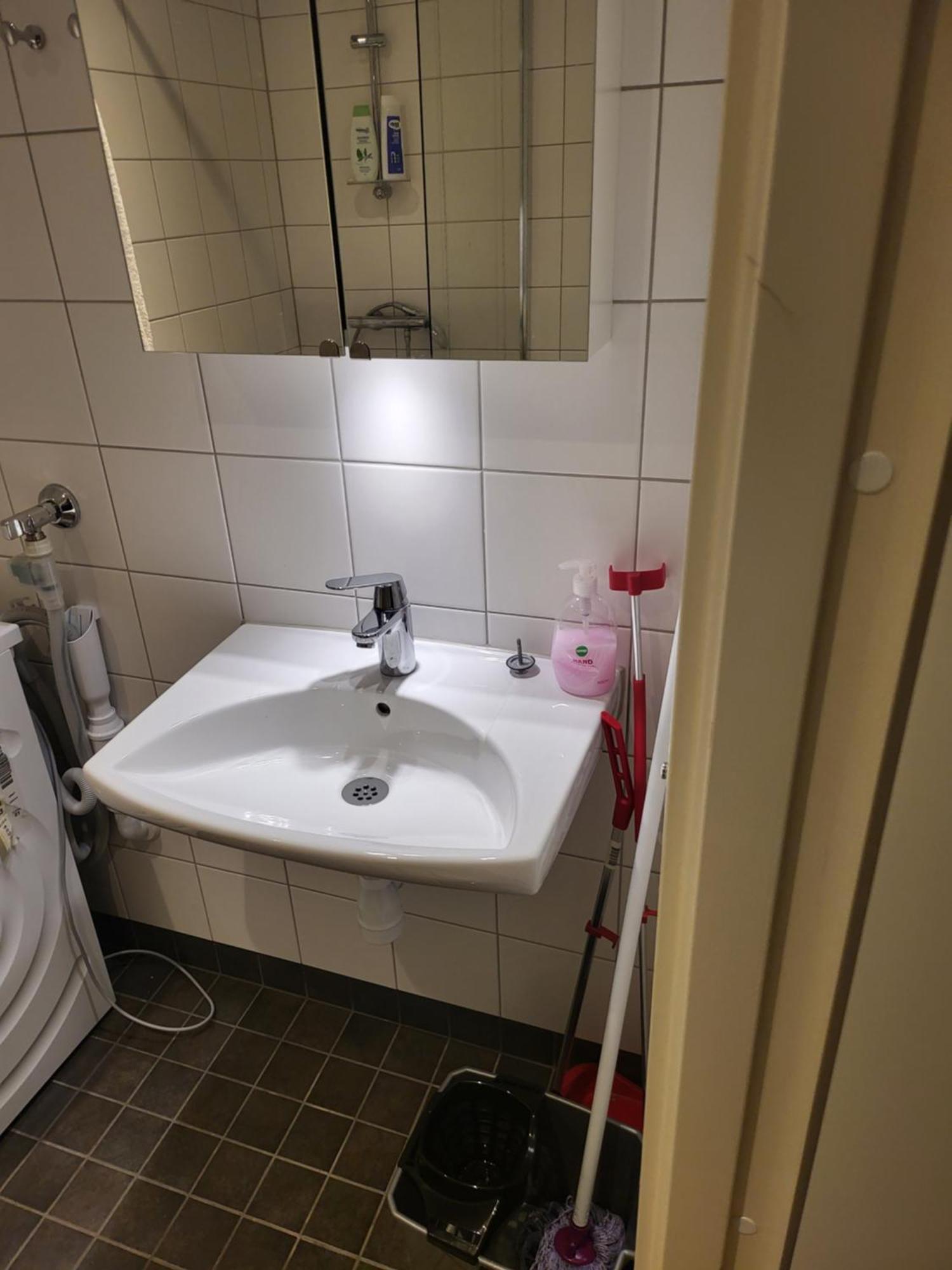 厄勒布鲁Swed House公寓 外观 照片